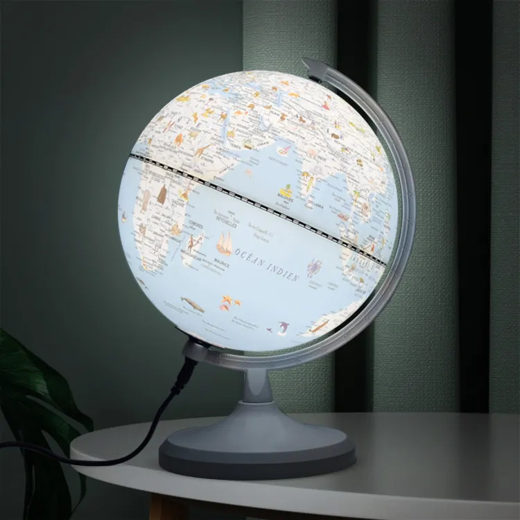 20cm (8") Gmini Illuminated Cartoon Globe & USB Power