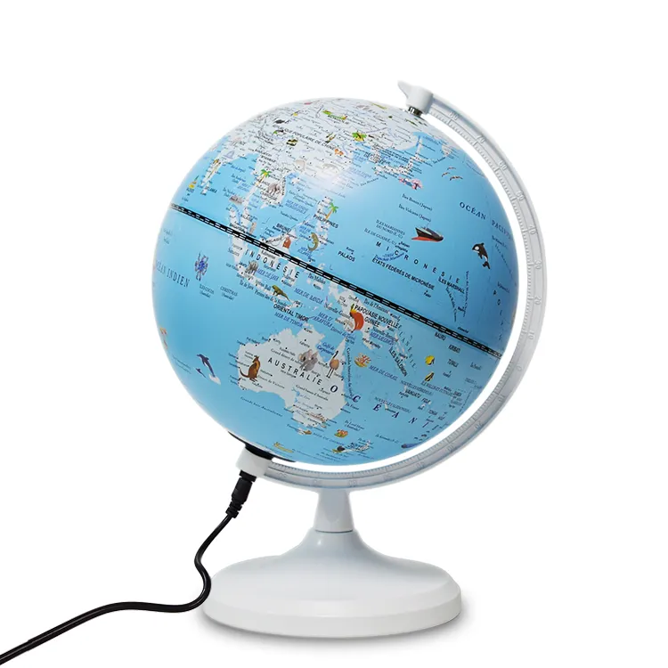 20cm (8") Gmini Illuminated Cartoon Globe & USB Power detail view 1